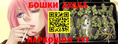молекула духа Ливны