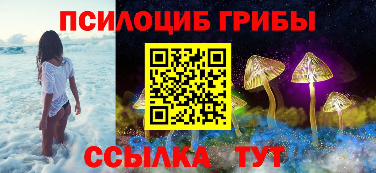 Медногорск  где найти   Псилоцибиновые грибы мицелий  Вход с VPN  Галлюциногенные грибы GOLDEN TEACHER 