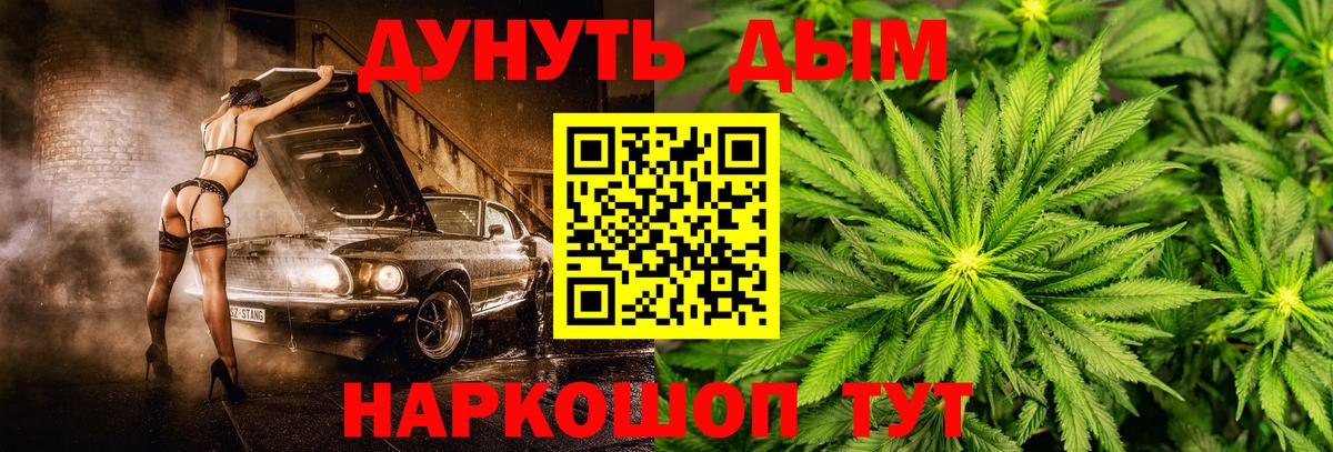Канабис индика  МАРИХУАНА гибрид  Вход с VPN  Марихуана планчик  Бошки марихуана семена  Медногорск 
